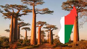 A Madagascar, la junte renforce son contrôle sur les minerais stratégiques comme les terres rares